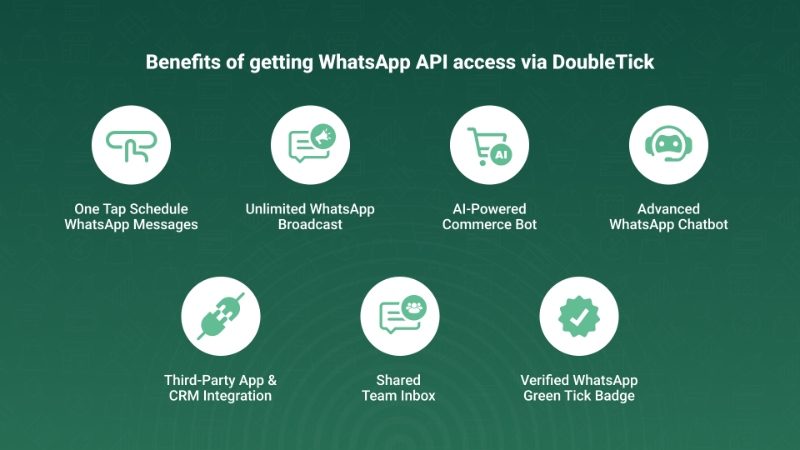 Benefits of getting WhatsApp API access via DoubleTick.jpg